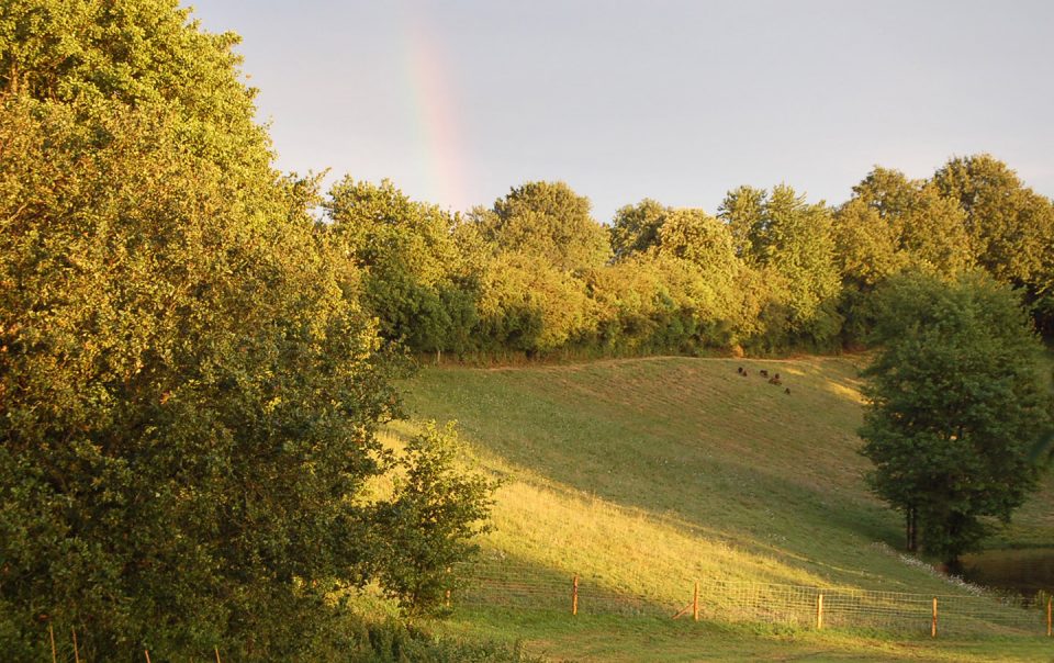 EKDP_Parc 01_1440x900