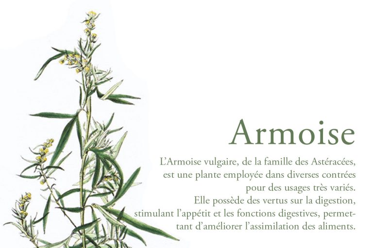 LDP_Armoise_1440x960